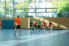 Die Damen II der Handball-Füchse Scheyern im Heimspiel gegen den TSV Rottenburg