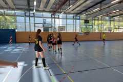 Die weibliche A der Handball-Füchse Scheyern im Heimspiel gegen den PSV München