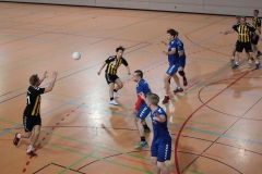 Die Herren I der Handball-Füchse Scheyern im Heimspiel gegen den TV Passau