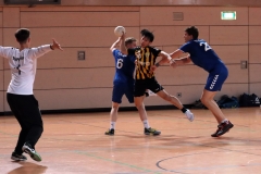 Die Herren I der Handball-Füchse Scheyern im Heimspiel gegen den TV Passau
