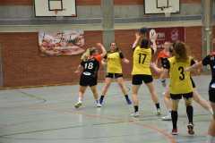 Auswärtsspiel der Damenmanschaft der Handball-Füchse Scheyern gegen die SG Moosburg