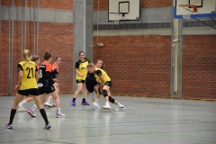 Auswärtsspiel der Damenmanschaft der Handball-Füchse Scheyern gegen die SG Moosburg