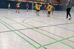 Die männliche E II der Handball-Füchse Scheyern beim KHB-Turnier in Ingolstadt