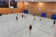 Die Damen II der Handball-Füchse Scheyern im Auswärtsspiel gegen Wartenberg