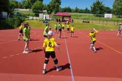 Fuchs-Cup der weiblichen D-Jugend der Handball-Füchse