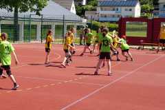 Fuchs-Cup der weiblichen D-Jugend der Handball-Füchse