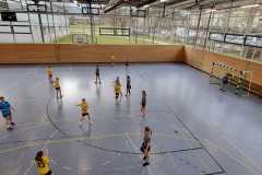 Die weibliche D der Handball-Füchse Scheyern im Heimspiel gegen Pfaffenhofen