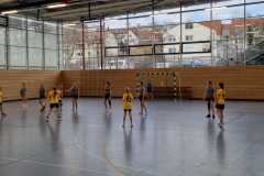 Die weibliche D der Handball-Füchse Scheyern im Heimspiel gegen Pfaffenhofen