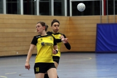 Die Damen der Handball-Füchse Scheyern im Heimspiel gegen Rohrbach