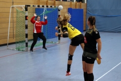 Die Damen der Handball-Füchse Scheyern im Heimspiel gegen Rohrbach
