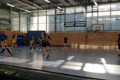 24. Fuchs-Cup der Handball-Füchse Scheyern - Damen