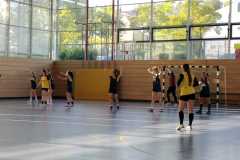 24. Fuchs-Cup der Handball-Füchse Scheyern - Damen