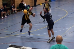 Die Herren I der Handball-Füchse im Heimspiel gegen den TSV Indersdorf