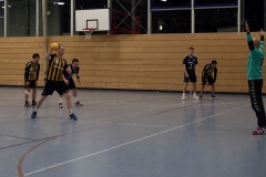Die Herren I der Handball-Füchse im Heimspiel gegen den TSV Indersdorf