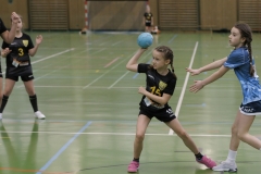 Die weibliche E I der Handball-Füchse Scheyern beim KHB-Spielbetriebsturnier