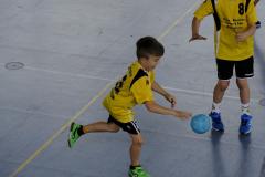 Männliche E I und männliche E II der Handball-Füchse Scheyern beim Fuchs-Cup