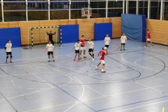 Die Herren II der Handball-Füchse Scheyern im Heimspiel gegen den TSV Dachau 65