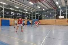 Die Herren II der Handball-Füchse Scheyern im Heimspiel gegen den TSV Dachau 65