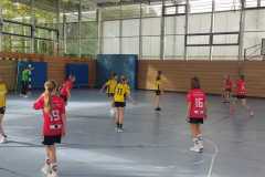 Die weibliche D I der Handball-Füchse Scheyern im Heimspiel gegen den TSV 1861 Mainburg