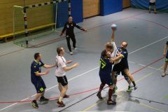 HFS-Herren gegen TSV Gaimersheim