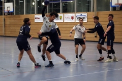 Die Herren I der Handball-Füchse Scheyern im Heimspiel gegen Indersdorf