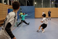 Die Herren I der Handball-Füchse Scheyern im Heimspiel gegen Indersdorf