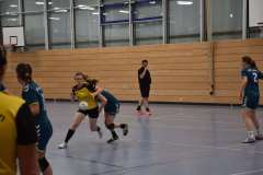 Die Damenmannschaft der Handball-Füchse Scheyern im Heimspiel gegen SVA Palzing