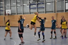 Die Damenmannschaft der Handball-Füchse Scheyern im Heimspiel gegen SVA Palzing