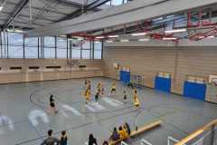 Die weibliche D der Handball-Füchse Scheyern gegen den MTV Pfaffenhofen II