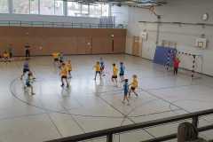 Die männliche D der Handball-Füchse Scheyern im Auswärtsspiel gegen Neuburg