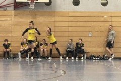 Die Damen der Handball-Füchse im Heimspiel gegen HC Donau/Paar III