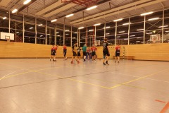 Die Herren I der Handball-Füchse Scheyern im Heimspiel gegen HC Donau/Paar II