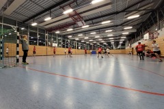 Die Herren II der Handball-Füchse Scheyern im Heimspiel gegen Erdweg