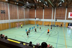 Die weibliche D I der Handball-Füchse Scheyern beim Qualifikationsturnier zur Bezirksliga