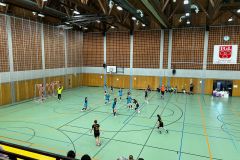 Die weibliche D I der Handball-Füchse Scheyern beim Qualifikationsturnier zur Bezirksliga