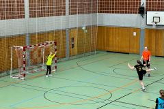 Die weibliche D I der Handball-Füchse Scheyern beim Qualifikationsturnier zur Bezirksliga