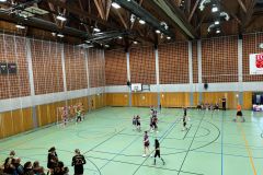 Die weibliche D I der Handball-Füchse Scheyern beim Qualifikationsturnier zur Bezirksliga