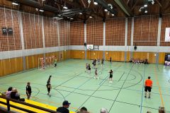 Die weibliche D I der Handball-Füchse Scheyern beim Qualifikationsturnier zur Bezirksliga