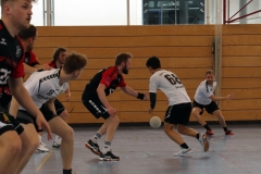 Die Herren I der Handball-Füchse Scheyern im Heimspiel gegen Eggenfelden