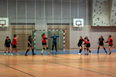 Die Damen I der Handball-Füchse Scheyern im Auswärtsspiel gegen Altötting