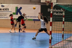 Die Damen I der Handball-Füchse Scheyern im Auswärtsspiel gegen Altötting