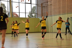 Die Damenmannschaft der Handball-Füchse Scheyern im Auswärtsspiel gegen die DJK Rohrbach