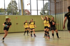 Die Damenmannschaft der Handball-Füchse Scheyern im Auswärtsspiel gegen die DJK Rohrbach