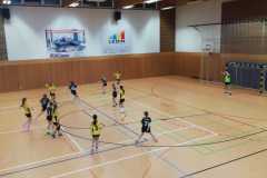 Die weibliche D I der Handball-Füchse Scheyern im Auswärtsspiel gegen Gaimersheim
