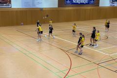 Die weibliche D der Handball-Füchse Scheyern im Auswärtsspiel gegen Gaimersheim