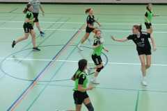 Die weibliche C der Handball-Füchse Scheyern im Auswärtsspiel gegen DJK Eichstätt
