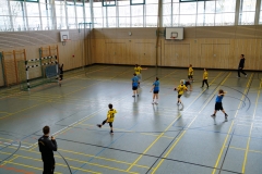 Die männliche E der Handball-Füchse beim Spielbetriebsturnier in Erdweg