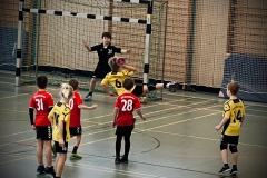 Die männliche E der Handball-Füchse beim Spielbetriebsturnier in Erdweg