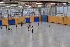 Die weibliche D der Handball-Füchse im Heimspiel gegen Gaimersheim