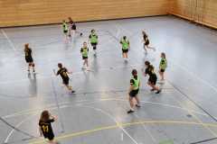 Die weibliche D der Handball-Füchse im Heimspiel gegen Gaimersheim
